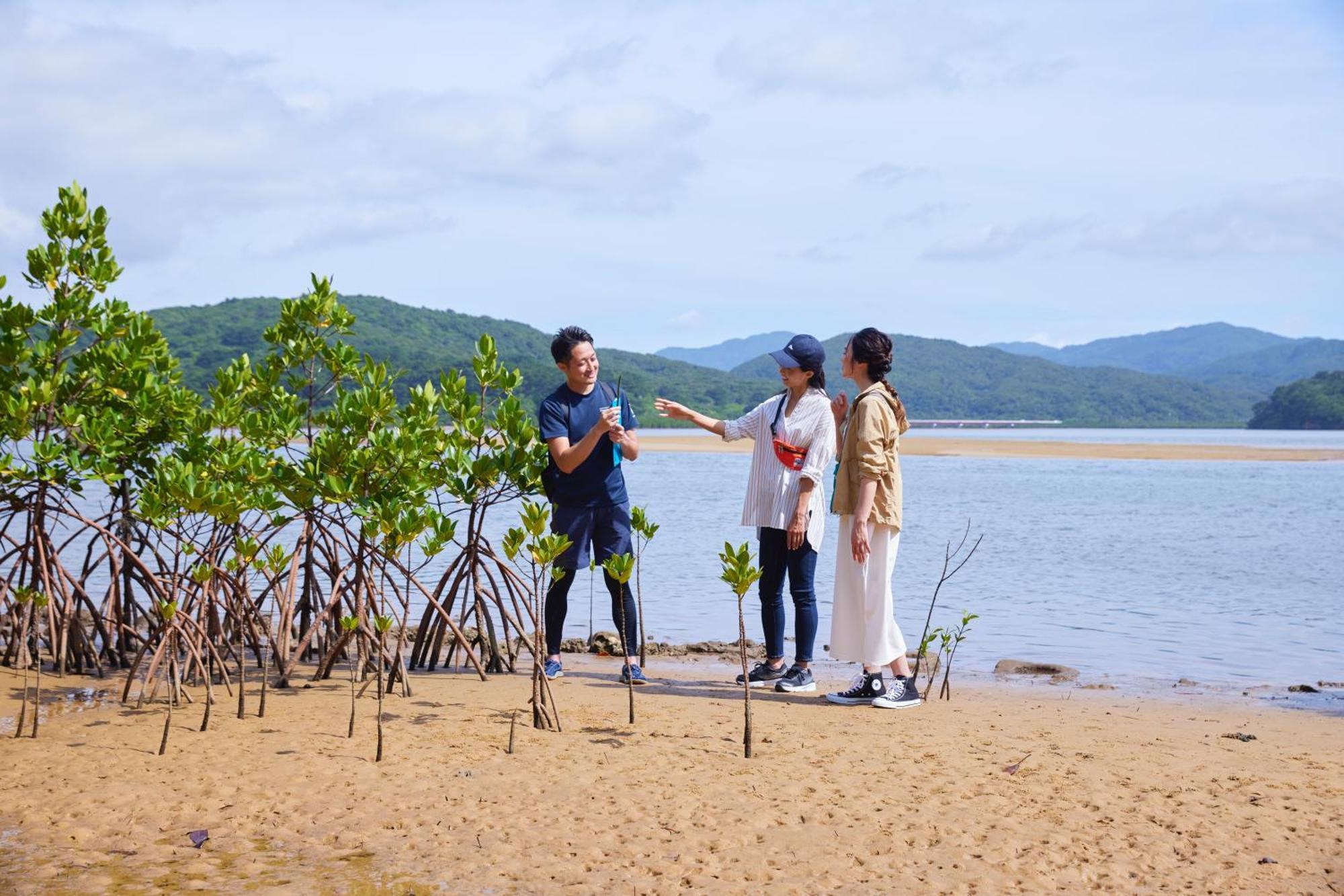 Iriomote Hotel By Hoshino Resorts Urauchi Екстериор снимка